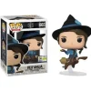 Critical Role Vexahlia on Broom Funko Pop! Vinyl Figure